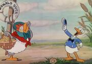 Donald bei seinem ersten Auftritt(© Disney)