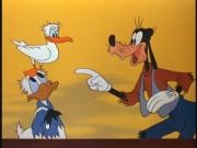 Donald und Goofy (© Disney)