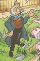 Meister Altwolf