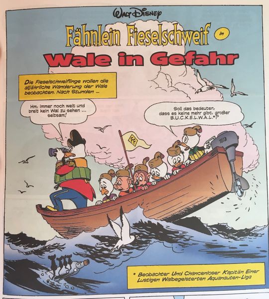 Datei:Wale in Gefahr.jpg