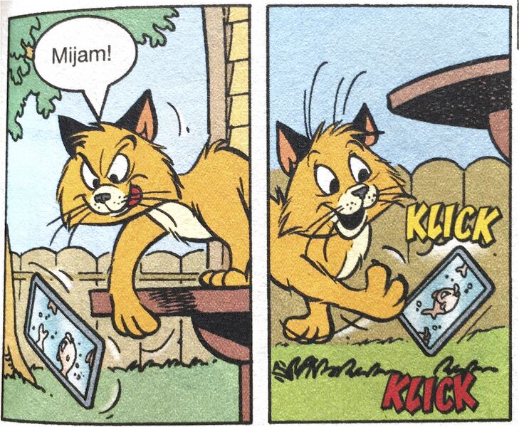 Datei:Amadeo-2.jpeg