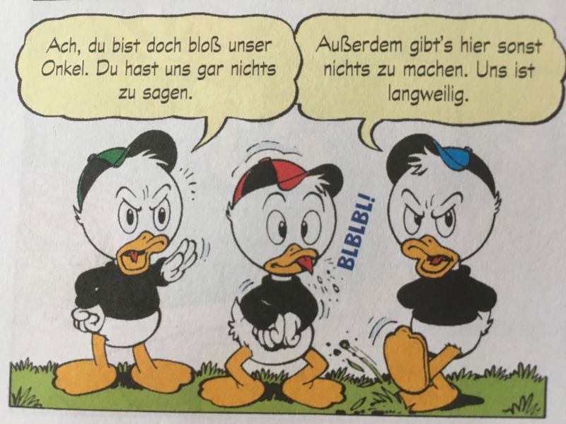 Datei:Reif fürs Fähnlein Fieselschweif-3.jpg