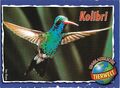 Vorschaubild der Version vom 08:24, 15. Jul. 2026