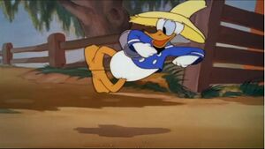 Donald freut sich (© Disney)